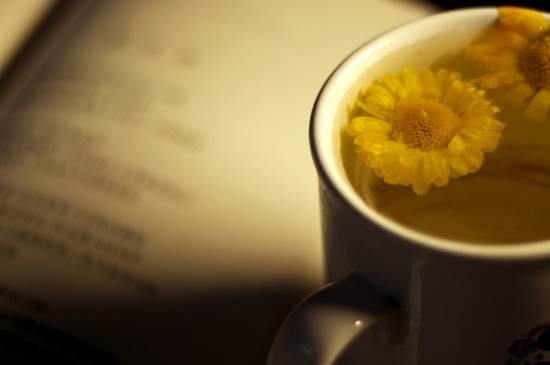 經(jīng)常菊花泡水好嗎，喝菊花茶有什么好處？