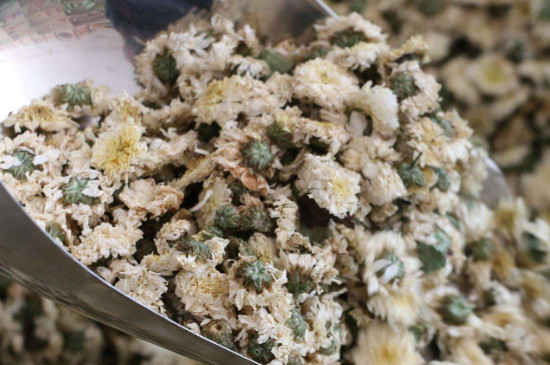 菊花茶買(mǎi)小朵還是大朵，泡茶用的小菊花和大菊花哪個(gè)好