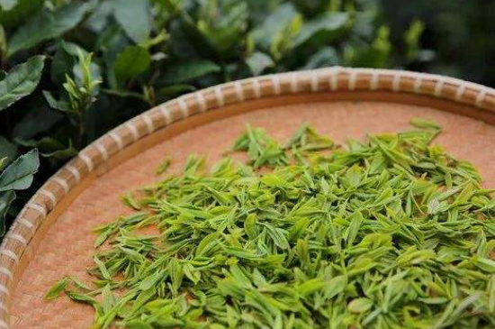 炒青綠茶與綠茶的區(qū)別，烘青和炒青哪個好喝？