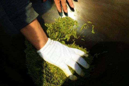 茶葉怎么炒制才香，怎樣炒茶葉更香？
