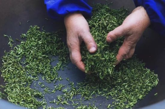 自家炒茶葉怎么炒，自己炒茶葉的步驟