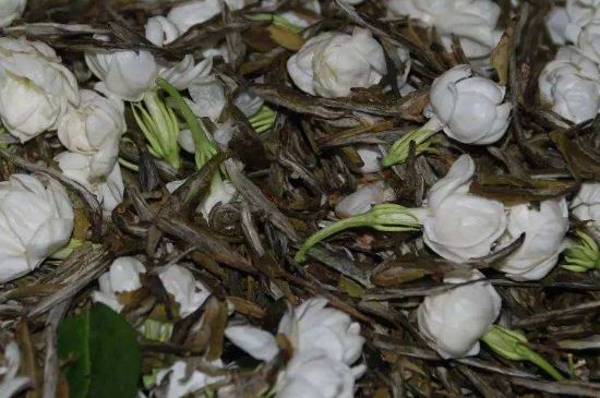 茉莉龍珠怎么做的，茉莉龍珠的制作工藝