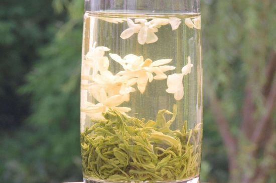 茉莉龍珠可以和什么一起泡茶，茉莉龍珠茶能加蜂蜜嗎？