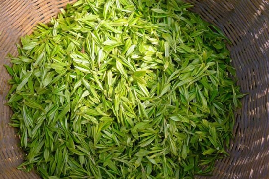 烏牛早和龍井的區(qū)別圖片，龍井43號(hào)和烏牛早茶的對(duì)比