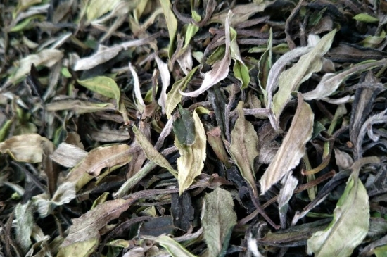 福鼎白茶貢眉和壽眉的區(qū)別，壽眉與貢眉有什么區(qū)別
