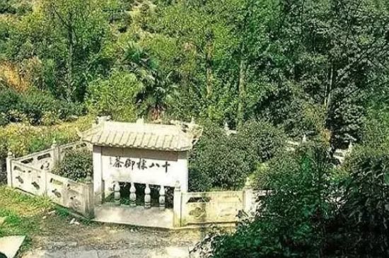 母樹大紅袍給誰喝了，為什么母樹大紅袍叫三棵六株？