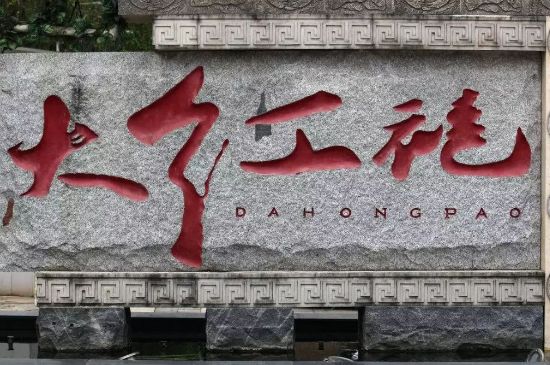 母樹大紅袍給誰喝了，為什么母樹大紅袍叫三棵六株？