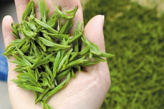 潮汕炒茶屬于什么茶，潮汕炒茶是綠茶嗎？