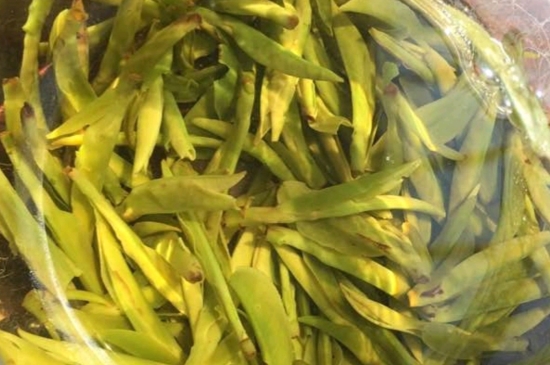 龍井是明前的好還是雨前的好，明前茶和雨前茶哪個(gè)好喝？