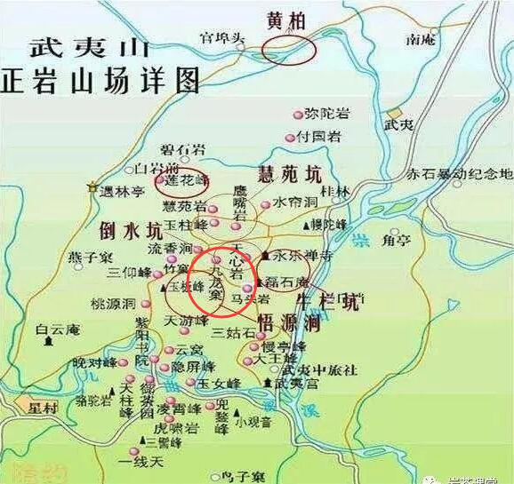 母樹大紅袍給誰喝了，為什么母樹大紅袍叫三棵六株？