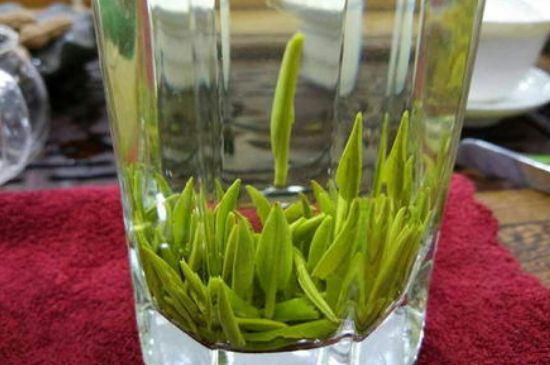 雀舌有一股青草味，雀舌為什么有青草味？
