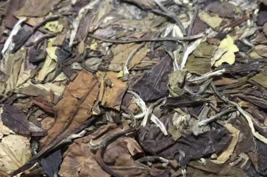 老白茶上火還是去火？夏季喝煮的老白茶會容易上火！