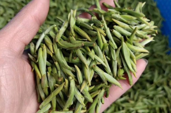 龍井茶好壞的鑒別圖片，如何區(qū)別龍井茶的好壞？