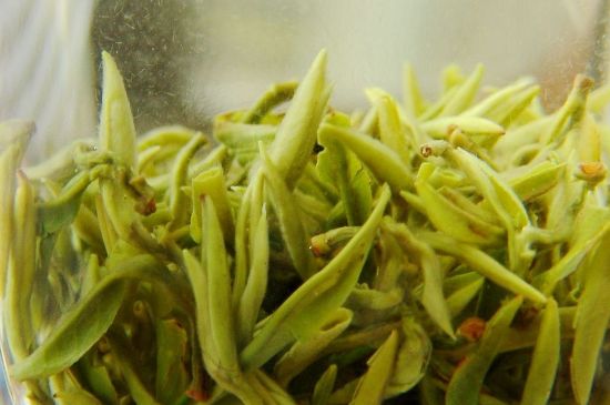 碧螺春為什么泡水渾濁，碧螺春茶葉泡水感覺很臟是混濁的