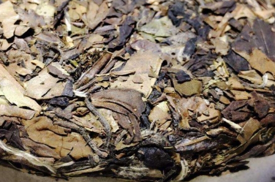 煮茶的步驟圖解，正確的煮白茶方法！