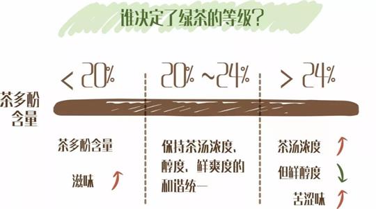 什么綠茶口味重口感濃郁，口味比較重的綠茶都有那些？