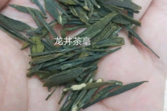 西湖龍井茶毫和發(fā)霉區(qū)別圖片，長(zhǎng)霉的龍井茶葉會(huì)是什么樣？