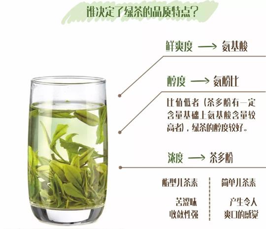 什么綠茶口味重口感濃郁，口味比較重的綠茶都有那些？
