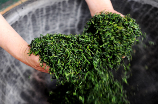 潮汕炒茶屬于什么茶，潮汕炒茶是綠茶嗎？