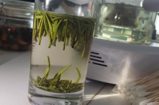 金壇雀舌算不算好茶，金壇雀舌屬于什么檔次茶葉？