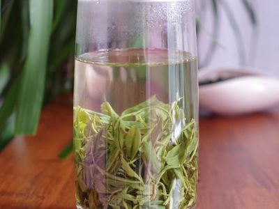 竹葉青和毛尖的區(qū)別，竹葉青和信陽毛尖哪個好？