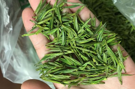 什么綠茶茶葉唇齒留香，哪個品種綠茶香氣好？