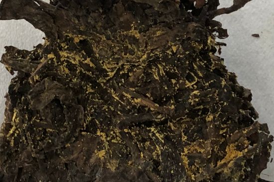 怎么知道涇渭茯茶是否變質(zhì)，茯磚茶金花和發(fā)霉的區(qū)別