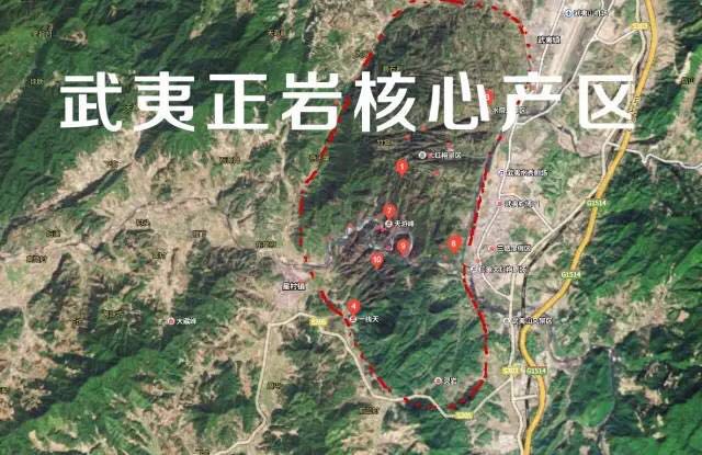 武夷山為什么盛產(chǎn)茶葉，武夷山茶為什么好喝？