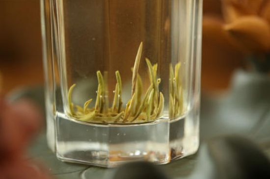 踏雪蘭妃是什么茶，踏雪蘭妃是哪里的茶葉?
