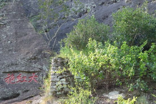 母樹大紅袍給誰喝了，為什么母樹大紅袍叫三棵六株？