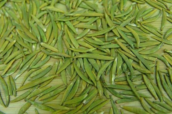 竹葉青和毛尖的區(qū)別，毛尖和竹葉青怎么分辨？