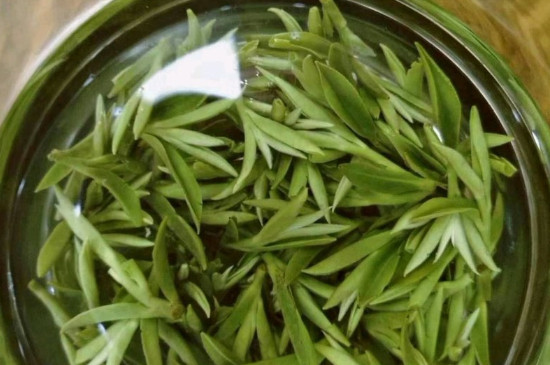 什么綠茶茶葉唇齒留香，哪個品種綠茶香氣好？
