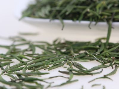霍山黃芽算是好茶嗎，霍山黃芽屬于什么茶？