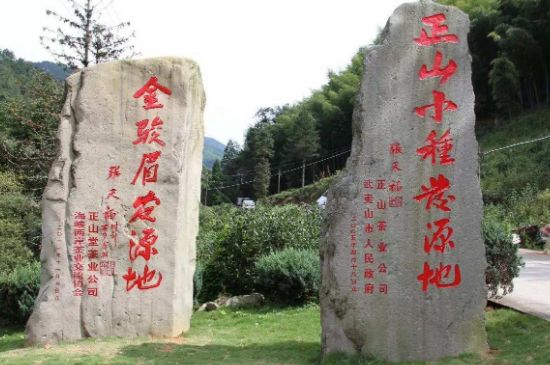 300塊錢的金駿眉能喝嗎，兩三百多金駿眉和一千多區(qū)別