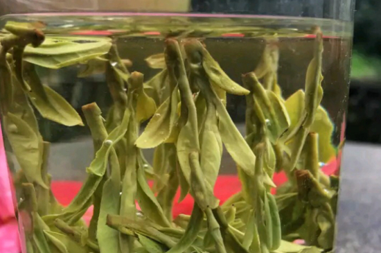 什么綠茶最香最好喝，綠茶口感與香氣排名