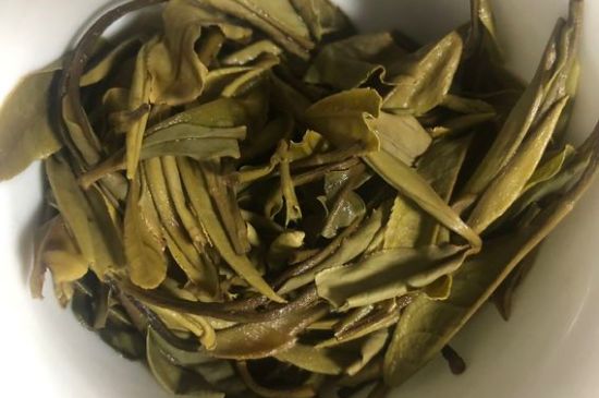 三年白茶賽砒霜，這是真的嗎？