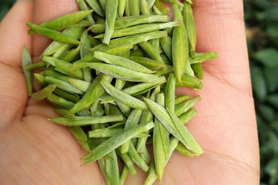 什么綠茶味道濃香，那個綠茶比較濃香？
