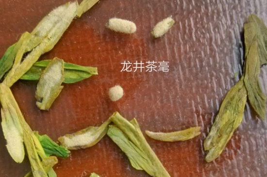 西湖龍井茶毫和發(fā)霉區(qū)別圖片，長(zhǎng)霉的龍井茶葉會(huì)是什么樣？