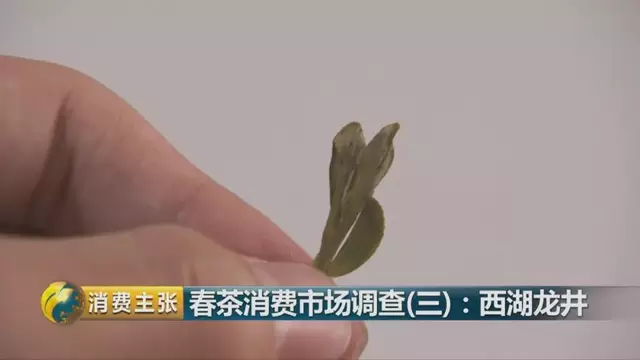 龍井群體種和43號(hào)的區(qū)別圖片，龍井43和群體種哪個(gè)好喝？