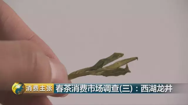 龍井群體種和43號(hào)的區(qū)別圖片，龍井43和群體種哪個(gè)好喝？