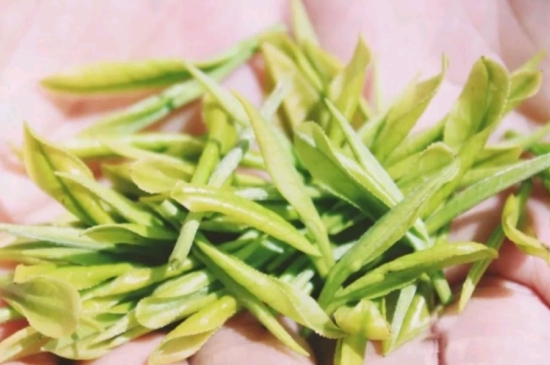 龍井是明前的好還是雨前的好，明前茶和雨前茶哪個(gè)好喝？