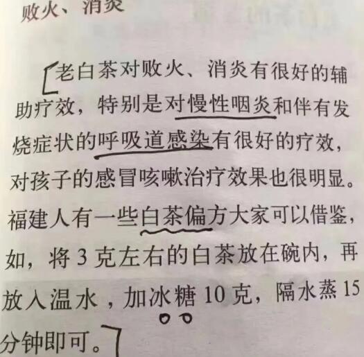 老白茶上火還是去火？夏季喝煮的老白茶會容易上火！