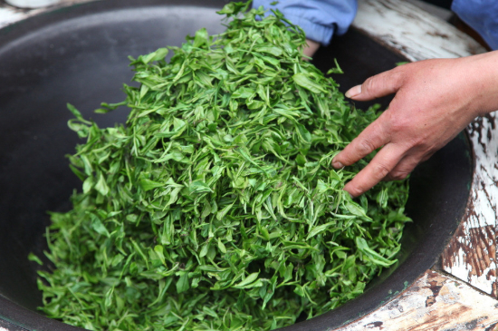 潮汕炒茶屬于什么茶，潮汕炒茶是綠茶嗎？