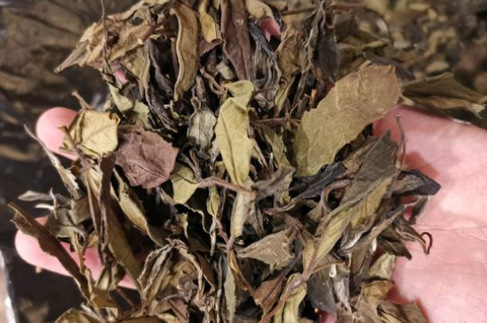 新舊白茶怎么區(qū)分，怎么分辨白茶是新還是舊
