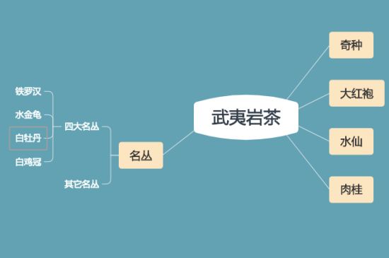 武夷巖茶品種大全，巖茶有幾種？