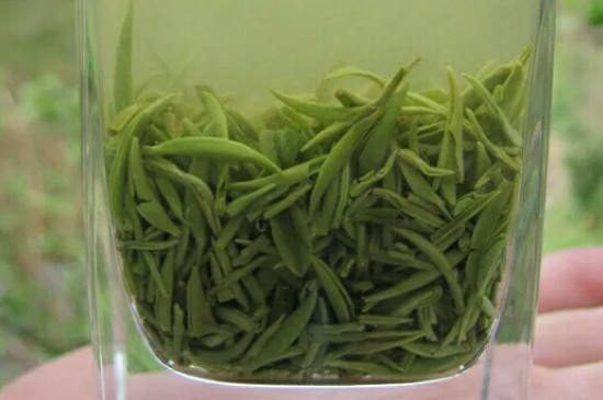 什么綠茶茶葉唇齒留香，哪個品種綠茶香氣好？