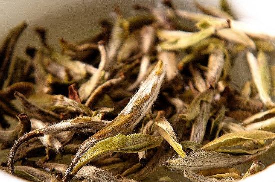 荒野銀針市場價多少，真正的荒野白毫銀針多少錢？