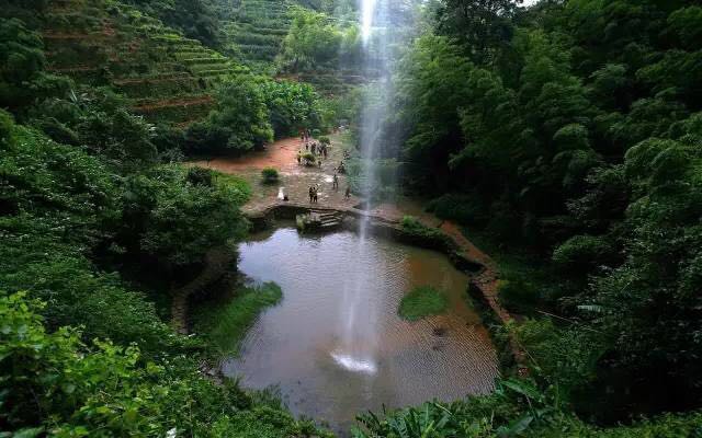 武夷山為什么盛產(chǎn)茶葉，武夷山茶為什么好喝？