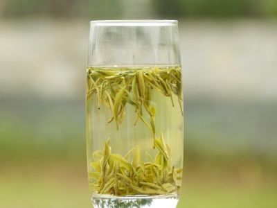 霍山黃芽算是好茶嗎，霍山黃芽屬于什么茶？