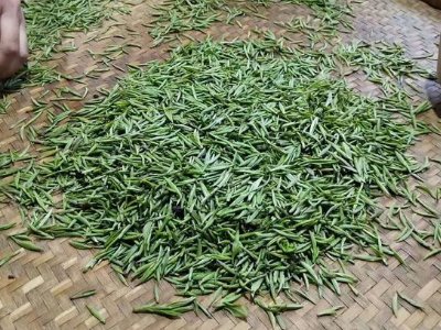 金駿眉幾年可以算陳茶，金駿眉新茶好還是老茶